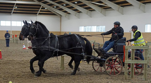 1. afd. af Aveve Maraton Cup d. 20. november 2022