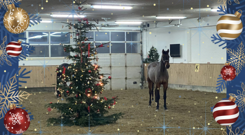 Glædelig Jul og Godt Nytår 2022