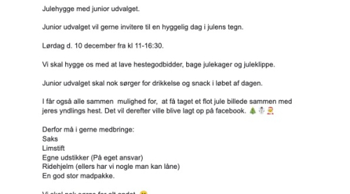 Junior julehygge d. 10. december 2022
