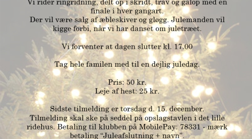 Juleafslutning d. 17. december 2022