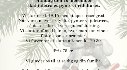 Juletræspyntning 2018